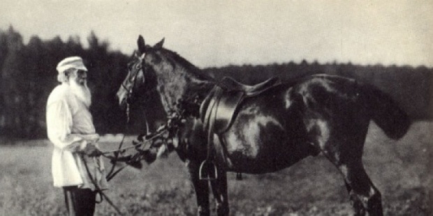 2630-74